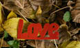 cast fast love spell black magic lust spell  obsession spell ex back in 24 hours