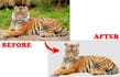 professionally remove background from your images