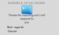 be your virtual assistant for email and chat support
