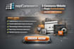 do nopcommerce ecommerce website plugin theme development aspnet core