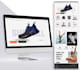 redesign website in wordpress or redesign wordpress website