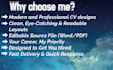 create a modern professional CV resume