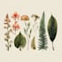 draw a botanical illustration