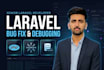fix website bugs, wordpress, PHP, laravel, and javascript errors