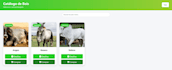 fast, responsive, and professional landing pages