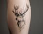 design amazing tattoo flash sheet for you