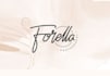 do photography photo shoot camera videography logo design