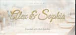 make a website invitation for weddings, birthdays, baby showers and more