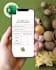 calculate your macros and create a personalized nutrition plan