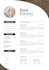professional resume redesign with editable canva CV