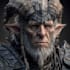 create   amazing  dnd character for you