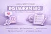 write a professional instagram bio that attracts followers