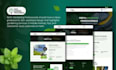 do custom website development full stack frontend and backend