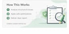 rank your website like a pro