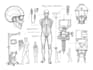 draw professional medical concept sketches