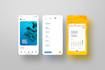 be your best flutter developer