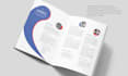 design a professional capability statement