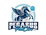 do modern awesome pegasus logo just 12 hrs