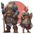 fantasy dnd character illustration