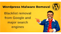 provide wordpress malware removal and security cleanup