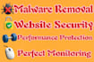 provide wordpress malware removal services and install security