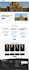 develop, design, redesign, customize and clone wordpress website