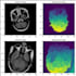 do image classification, clustering, data science, ai python
