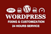 fix wordpress issues, errors and redesign wordpress site