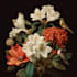 draw a botanical illustration