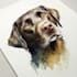 draw watercolor pet portrait