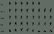 pixel art character pixel art animation pixel sprite sheet nsfw pixel 8bit 16bit