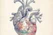 create medical and scientific illustrations