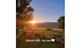 film pet and garden ugc with real home and outdoor scenes
