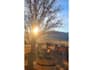 film pet and garden ugc with real home and outdoor scenes
