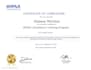 do medical billing, payments, and denials management