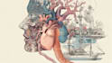 draw detailed medical illustrations