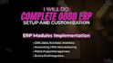 complete odoo erp setup and customization
