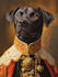 create an pet portrait