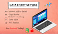 do professional excel data formatting, data cleaning,  PDF to excel pivo table
