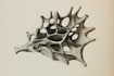 draw scientific animals encyclopedia book illustrations