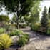 design and render your landscape design