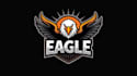 design super flying eagle logo with express delivery