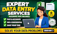 do accurate data entry, excel formatting and clean messy data fast