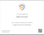 setup and manage google ads PPC campaign for leads and sales