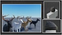 script reliable roblox game systems with clean code