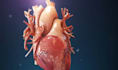 create 3d medical animation, surgery animation, anatomy 3d video