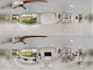 360 degree virtual staging
