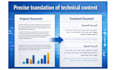provide accurate technical and technological translation
