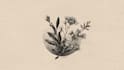 create a unique botanical hand drawn logo