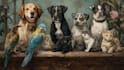 draw pet portrait, dog, cat, bird